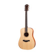 Taylor Academy 10 Dreadnought Acoustic Guitar w/Bag