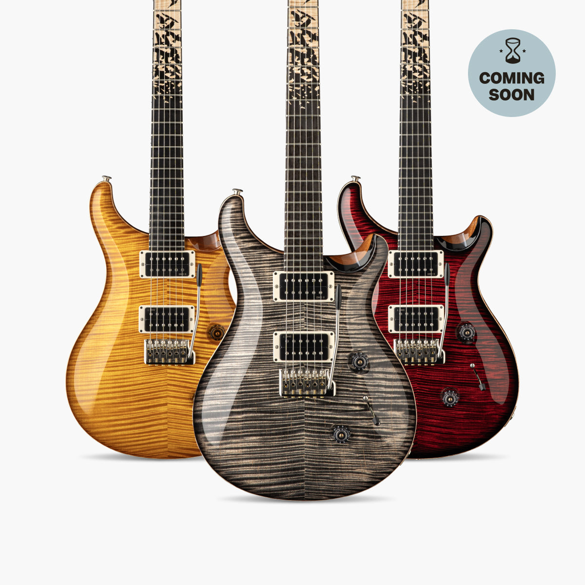 PRS Custom 24 Birds of a Feather | Swee Lee Malaysia