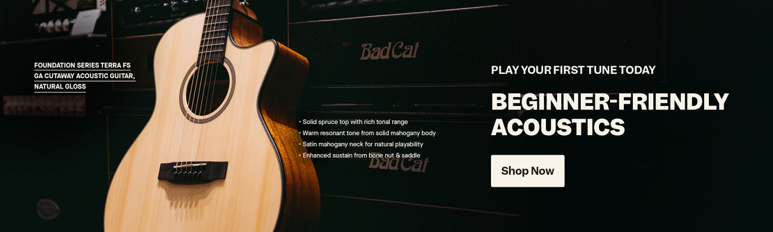 Beginner-Friendly Acoustics | Swee Lee Malaysia