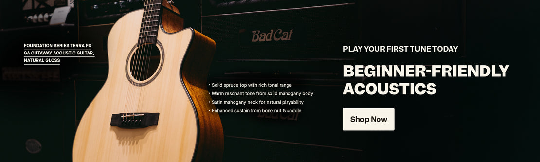 Beginner-Friendly Acoustics | Swee Lee Malaysia