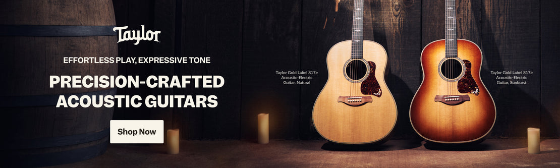 Taylor Acoustic Guitars | Swee Lee Malaysia