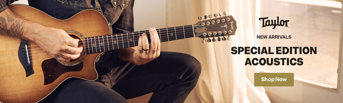 Taylor Special Edition Acoustics | Swee Lee Malaysia