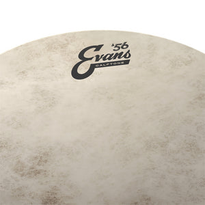 Evans TT14C7 14inch Calftone - Tom