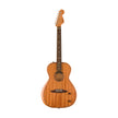 Fender Highway Series Parlor Acoustic Guitar w/Bag, RW FB, Mahogany