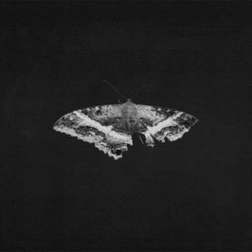 To Pimp a Butterfly (10th Anniversary Edition) (EU Press) - Kendrick Lamar (Vinyl) (BD)