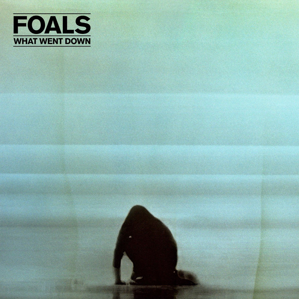 What Went Down (EU Press) - Foals (Vinyl) (BD)