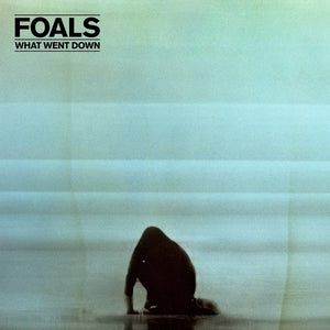 What Went Down (EU Press) - Foals (Vinyl) (BD)