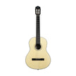 Harmony Foundation Series Terra Classical Acoustic Guitar, Natural Satin