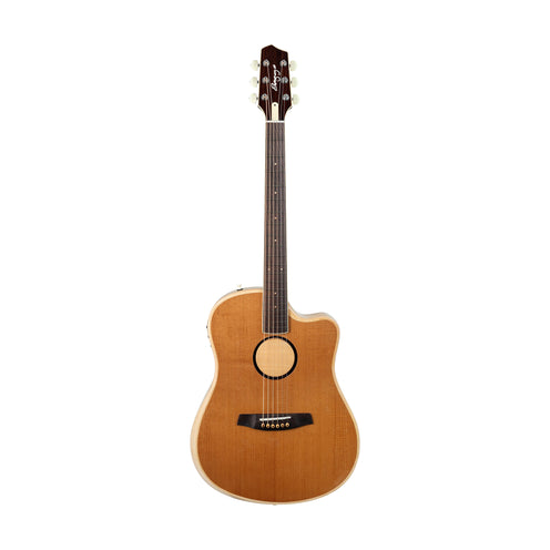 LR Baggs AEG-1 Acoustic Electric Guitar, Torrefied Sitka Spruce Top