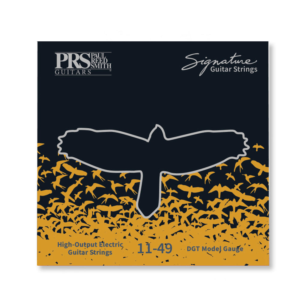 PRS Signature David Grissom Electric Guitar Strings, 11-49