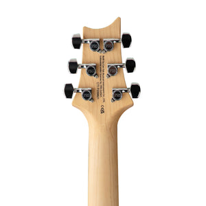 PRS SE Swamp Ash Special Electric Guitar w/Bag, Iri Blue