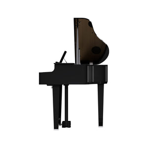 products_2FR11-GP-6-PE_2FR11-GP-6-PE_1763433695497.jpg