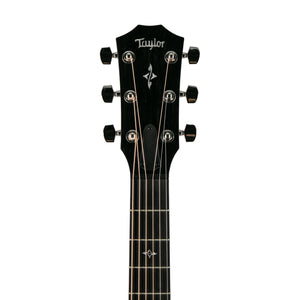 Taylor 417e-R Grand Acoustic Guitar, Natural Top