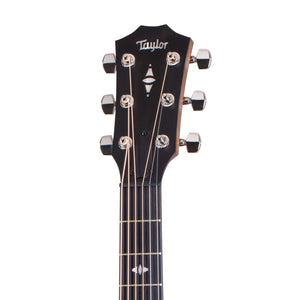Taylor 517e Urban Ironbark Grand Pacific Acoustic Guitar w/Case, Torrefied Sitka