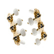 Taylor Nylon Series Tuner, Gold, Set of 6