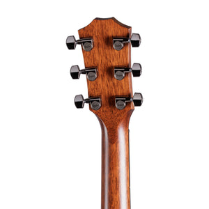 Taylor 814ce Special Edition Grand Auditorium Acoustic Guitar w/Case, Blacktop
