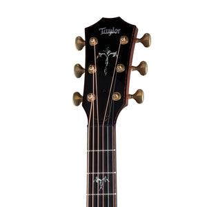 Taylor 914ce Special Edition RW/Sitka Grand Auditorium Acoustic Guitar w/Case, Cindy Inlay