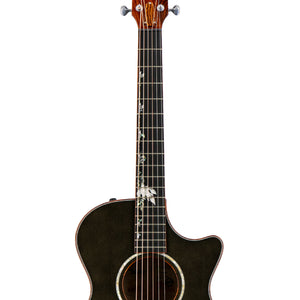 products_2FT25-C12CE-12FRET-B5049_2FT25-C12CE-12FRET-B5049_1759389782654.jpg