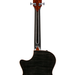 products_2FT25-C12CE-12FRET-B5049_2FT25-C12CE-12FRET-B5049_1759389782655.jpg