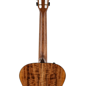 Taylor Custom C12e 12-Fret Blackwood/Cedar Grand Concert Acoustic Guitar w/Bag, Serial# 1206203118