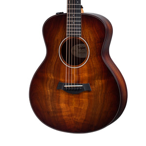 products_2FT25-GS-MINI-E-KOA-PLUS_2FT25-GS-MINI-E-KOA-PLUS_1782879296342.jpg