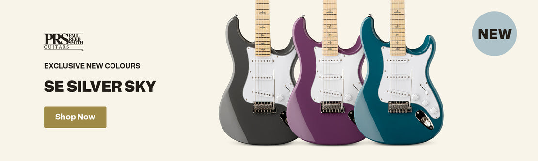 PRS SE Silver Sky | Swee Lee Malaysia