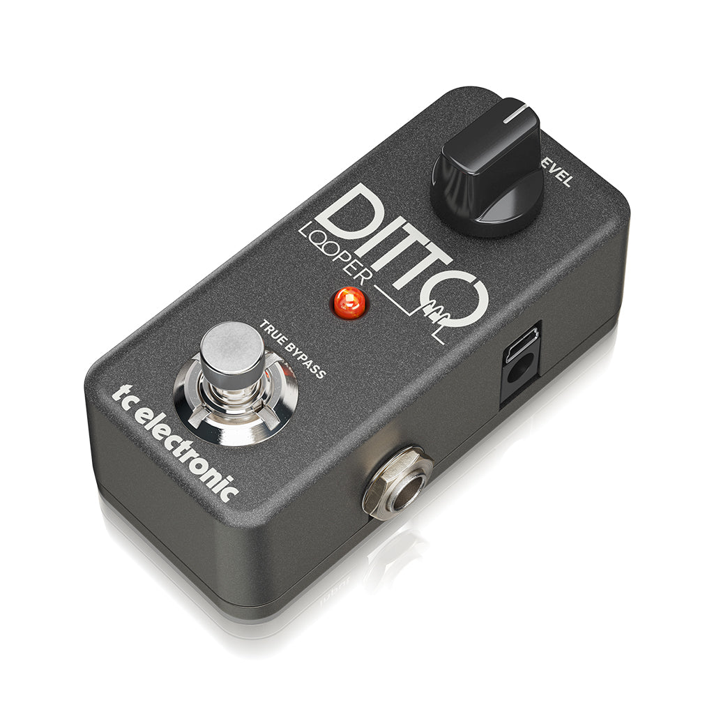 TC Electronic Ditto Looper - Sklep Muzyczny Music Center
