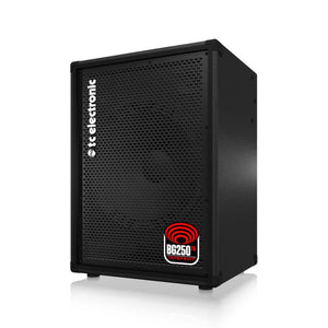 TC Electronic BG250-115 MKII 250w 1x15inch Bass Combo Amp, EU Plug