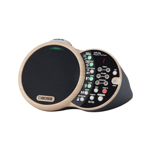 BOSS DR-01S Rhythm Partner