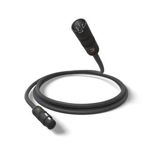 D'Addario PW-AMSM-05 American Stage Microphone Cable, 5ft