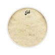Evans BD20CT 20inch Calftone - Bass