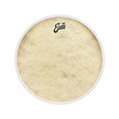 Evans TT13C7 13inch Calftone - Tom