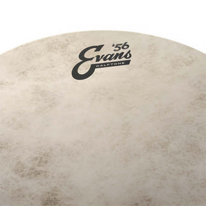 Evans TT15C7 15inch Calftone - Tom