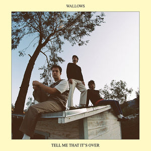 Tell Me That Its Over - Wallows (Vinyl) (AE)
