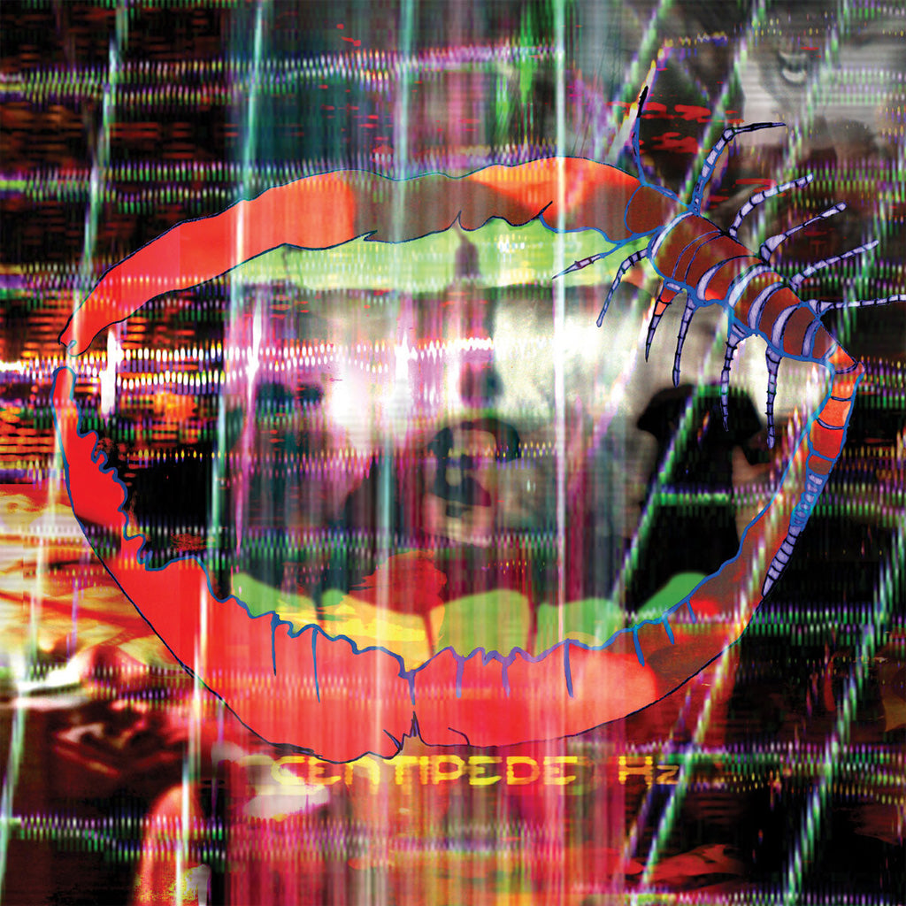 Centipede - Animal Collective (Vinyl)