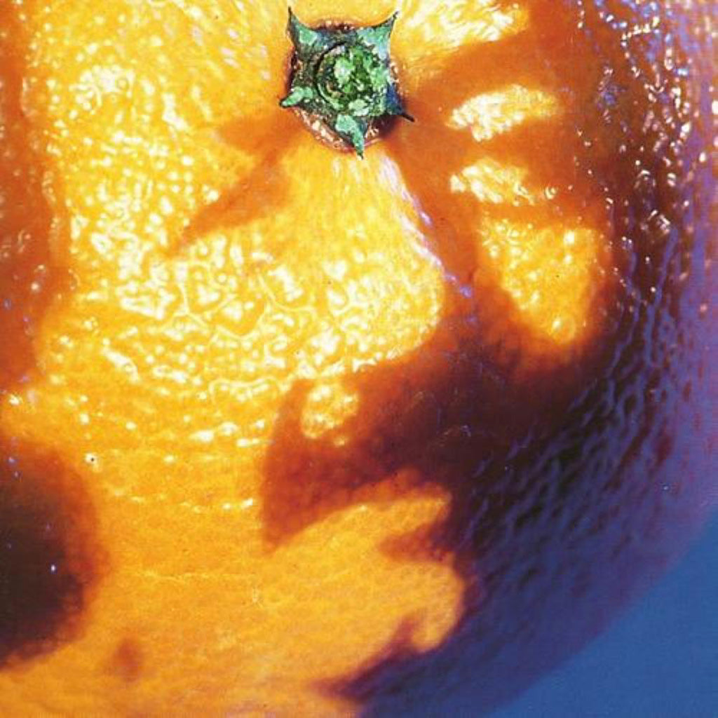 Picture Of Nectar - Phish (Vinyl)