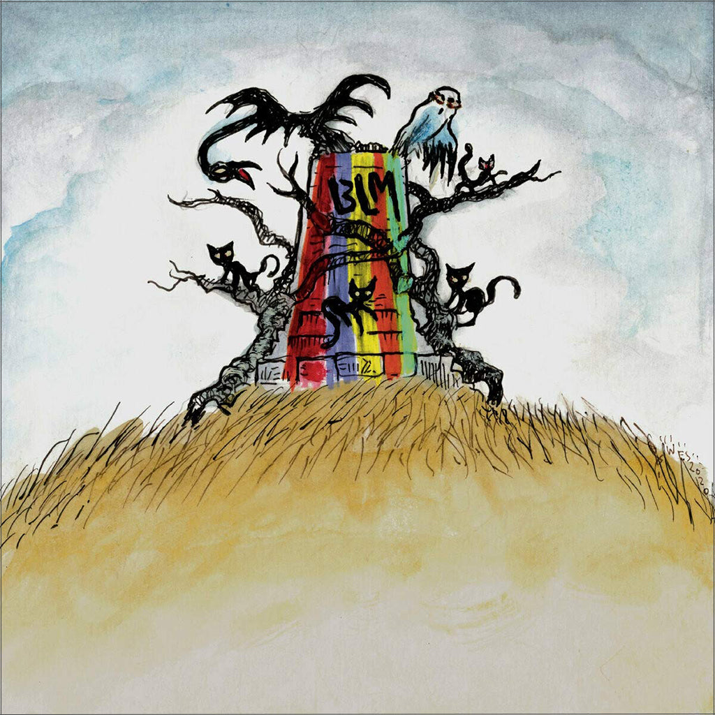 The New Ok (Colored Vinyl) - Drive-By Truckers (Vinyl)