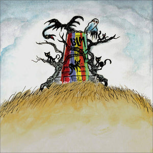 The New Ok (Colored Vinyl) - Drive-By Truckers (Vinyl)