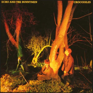 Crocodiles (2021 Reissue) - Echo and The Bunnymen (Vinyl) (BD)