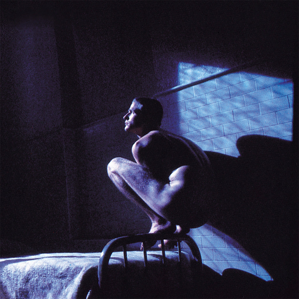 Birdy (2022 Reissue) - Peter Gabriel (Vinyl) (BD)