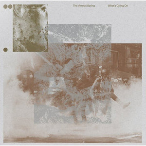 What's Going On - The Vernon Spring (Vinyl) (BD)