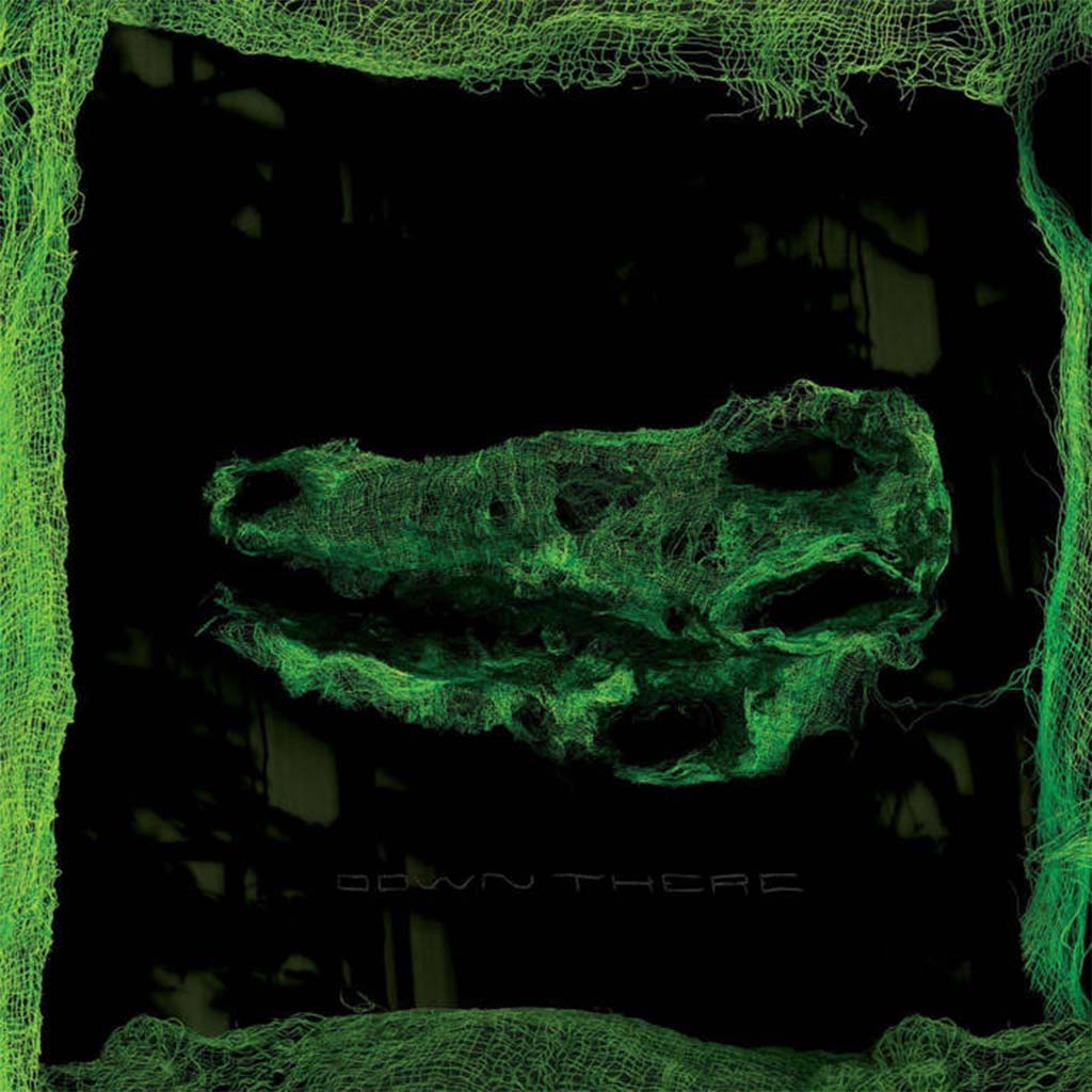 Down There - Avey Tare (Vinyl)