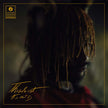 It Is What It Is (Clear Vinyl) - Thundercat (Vinyl)