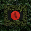 Live From Blackalachia (Green Vinyl) - Moses Sumney (Vinyl) (LD)