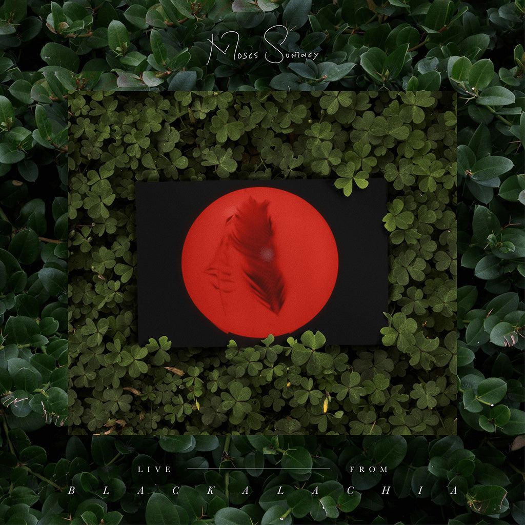 Live From Blackalachia (Green Vinyl) - Moses Sumney (Vinyl) (LD)