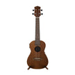 Harmony Foundation Series e-Sierra Concert Ukulele w/Bag, Natural Satin