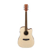 Ibanez PF10CE-OPN Acoustic Guitar, Open Pore Natural