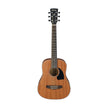 Ibanez PF2MH-OPN Acoustic Guitar w/Bag, Open Pore Natural