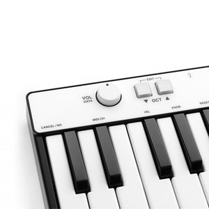 IK Multimedia iRig Keys 25 Mini-Keys With Lightning (iOS), OTG (Android) and USB (Mac/PC)