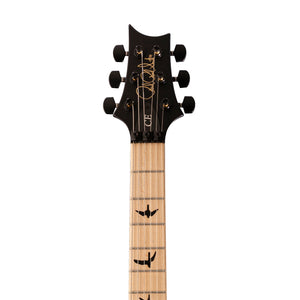 PRS Dustie Waring CE24 Floyd Electric Guitar w/Bag, Waring Burst